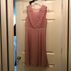 Blush BCBG Dress